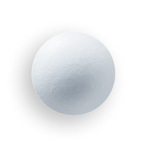 유산균 (Probiotic)